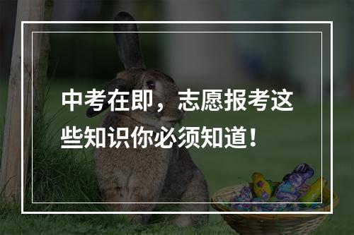 中考在即，志愿报考这些知识你必须知道！