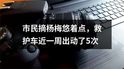 市民摘杨梅悠着点，救护车近一周出动了5次