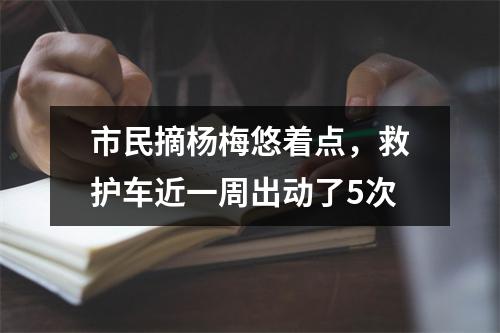 市民摘杨梅悠着点，救护车近一周出动了5次