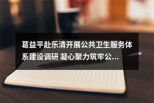 葛益平赴乐清开展公共卫生服务体系建设调研 凝心聚力筑牢公共卫生防线