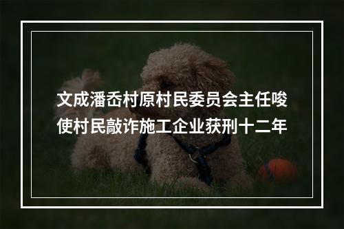 文成潘岙村原村民委员会主任唆使村民敲诈施工企业获刑十二年