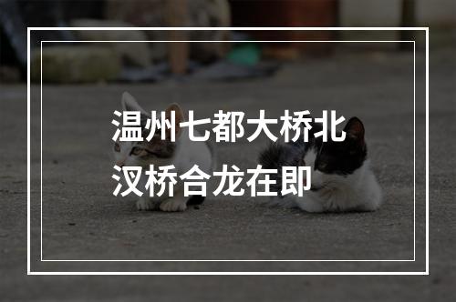 温州七都大桥北汊桥合龙在即