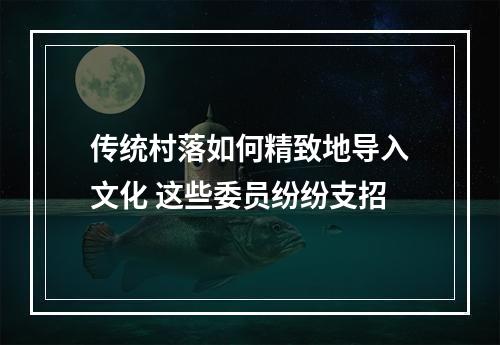 传统村落如何精致地导入文化 这些委员纷纷支招