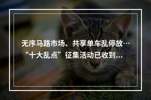无序马路市场、共享单车乱停放…“十大乱点”征集活动已收到48个问题