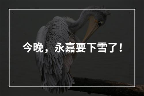 今晚，永嘉要下雪了！