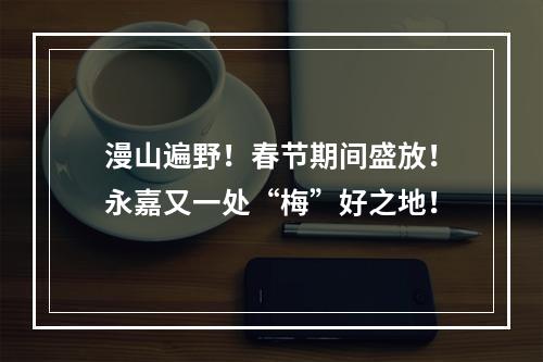 漫山遍野！春节期间盛放！永嘉又一处“梅”好之地！