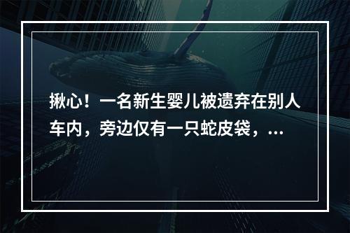 揪心！一名新生婴儿被遗弃在别人车内，旁边仅有一只蛇皮袋，民警多方查找……