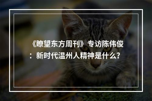 《瞭望东方周刊》专访陈伟俊：新时代温州人精神是什么？