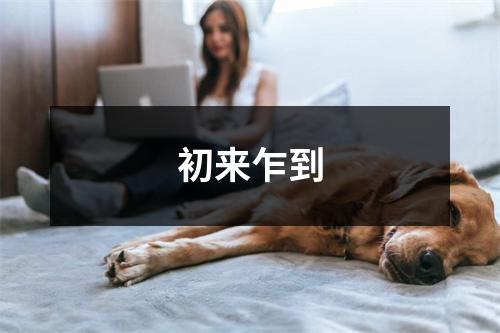 初来乍到