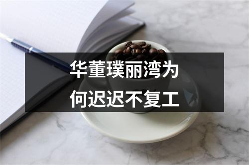 华董璞丽湾为何迟迟不复工