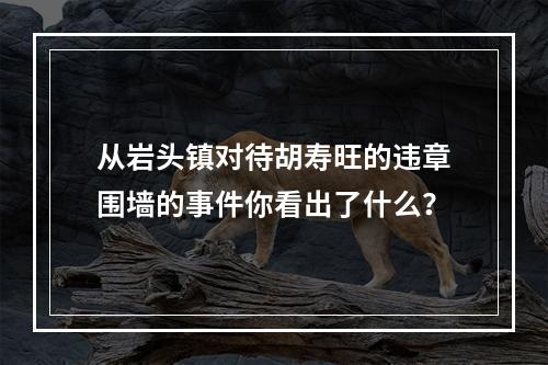 从岩头镇对待胡寿旺的违章围墙的事件你看出了什么？