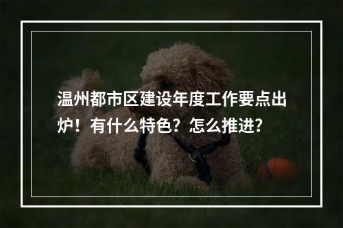 温州都市区建设年度工作要点出炉！有什么特色？怎么推进？