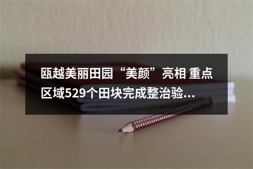 瓯越美丽田园“美颜”亮相 重点区域529个田块完成整治验收