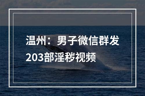 温州：男子微信群发203部淫秽视频