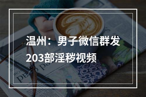 温州：男子微信群发203部淫秽视频