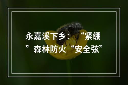 永嘉溪下乡： “紧绷”森林防火“安全弦”