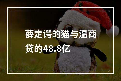 薛定谔的猫与温商贷的48.8亿