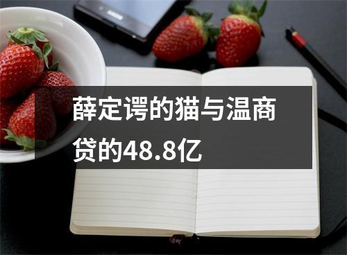 薛定谔的猫与温商贷的48.8亿