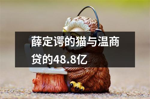 薛定谔的猫与温商贷的48.8亿