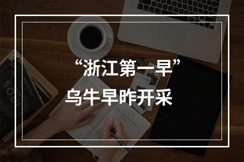 “浙江第一早”乌牛早昨开采
