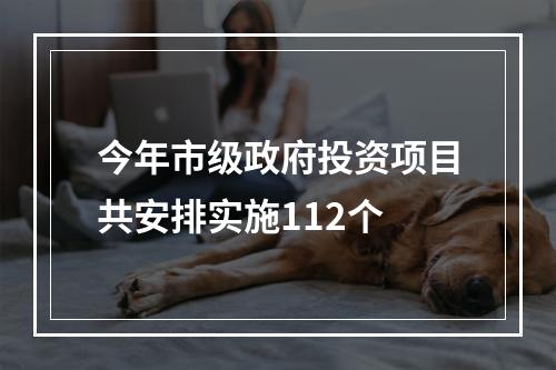 今年市级政府投资项目共安排实施112个