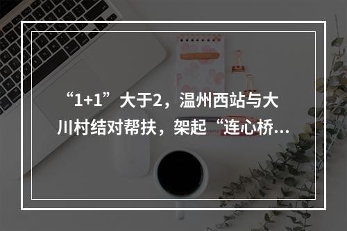 “1+1”大于2，温州西站与大川村结对帮扶，架起“连心桥”