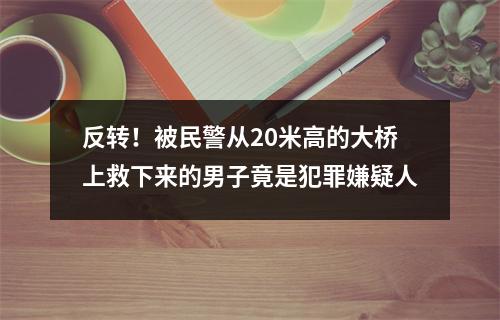 反转！被民警从20米高的大桥上救下来的男子竟是犯罪嫌疑人