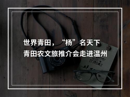 世界青田，“杨”名天下 青田农文旅推介会走进温州