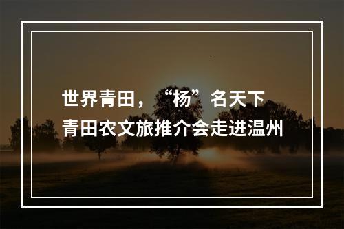 世界青田，“杨”名天下 青田农文旅推介会走进温州