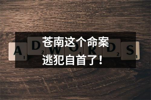 苍南这个命案逃犯自首了！