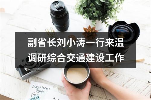 副省长刘小涛一行来温调研综合交通建设工作