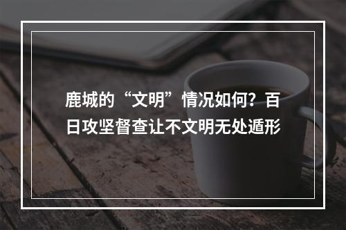 鹿城的“文明”情况如何？百日攻坚督查让不文明无处遁形