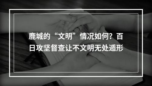鹿城的“文明”情况如何？百日攻坚督查让不文明无处遁形