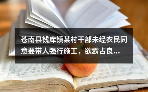 苍南县钱库镇某村干部未经农民同意要带人强行施工，欲霸占良田！