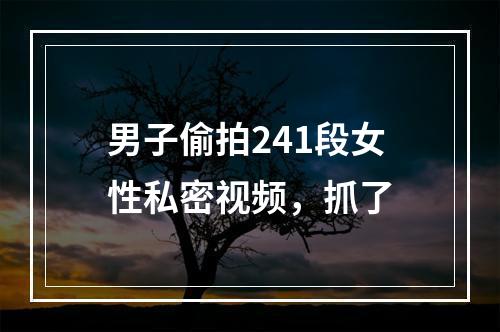 男子偷拍241段女性私密视频，抓了