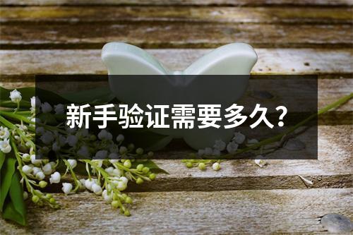 新手验证需要多久？