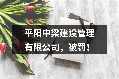 平阳中梁建设管理有限公司，被罚！