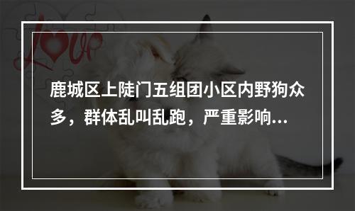 鹿城区上陡门五组团小区内野狗众多，群体乱叫乱跑，严重影响生活环境