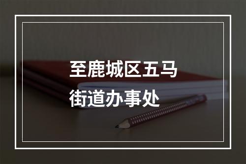 至鹿城区五马街道办事处