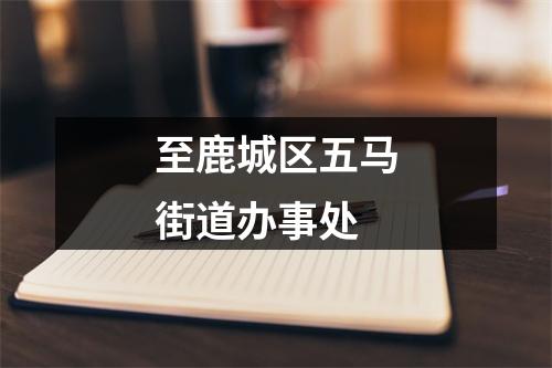 至鹿城区五马街道办事处