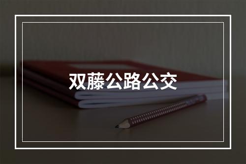 双藤公路公交