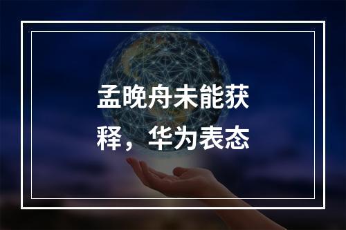 孟晚舟未能获释，华为表态