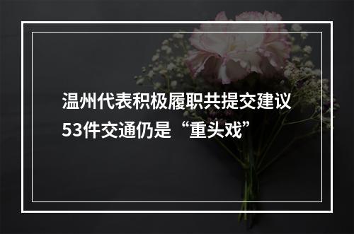 温州代表积极履职共提交建议53件交通仍是“重头戏”