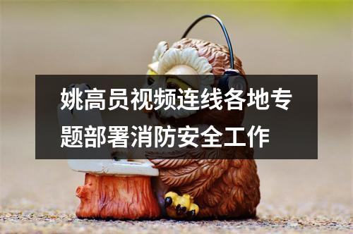 姚高员视频连线各地专题部署消防安全工作