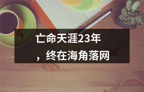 亡命天涯23年，终在海角落网