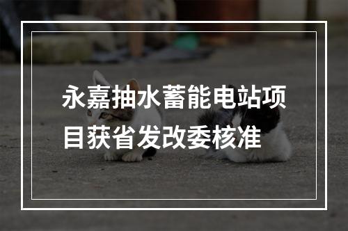 永嘉抽水蓄能电站项目获省发改委核准
