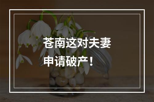 苍南这对夫妻申请破产！
