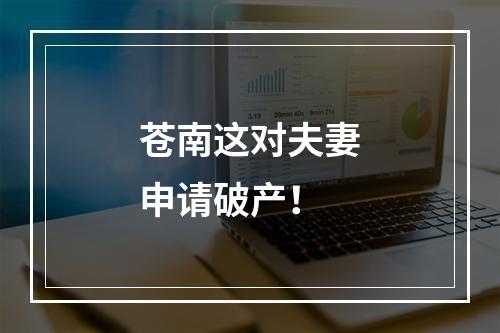 苍南这对夫妻申请破产！