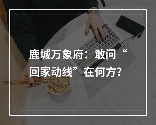 鹿城万象府：敢问“回家动线”在何方？