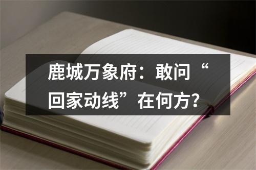 鹿城万象府：敢问“回家动线”在何方？